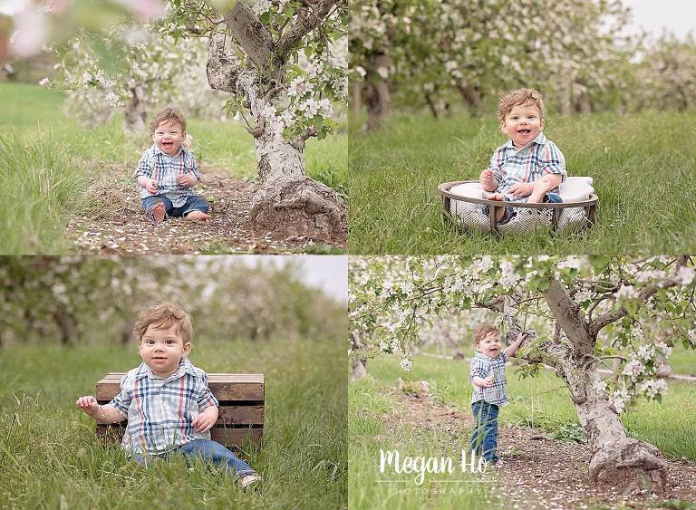 adorable little baby boy in apple orchard in new hampshire