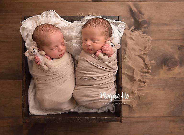 two boys and two brown bears sleeping in nh newborn session