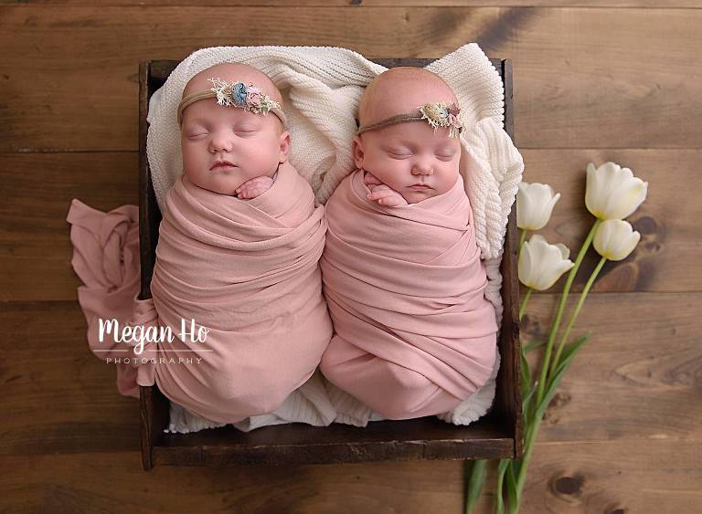 twin baby girls wrapped in pink blankets with white tulips southern nh studio