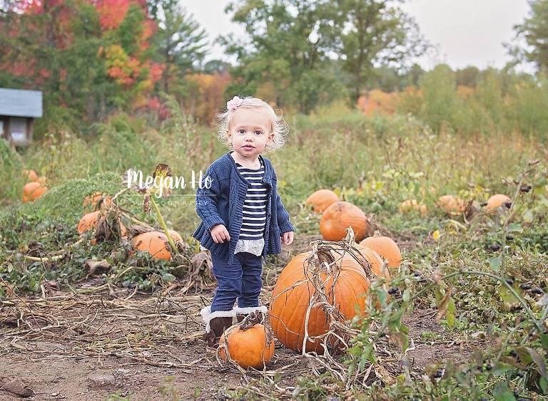 adorable one year girl standing amongst pumpkins in pumpkin patch