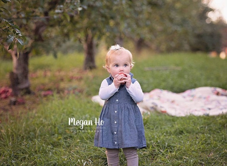 adorable one year session in fall apple orchard southern nh